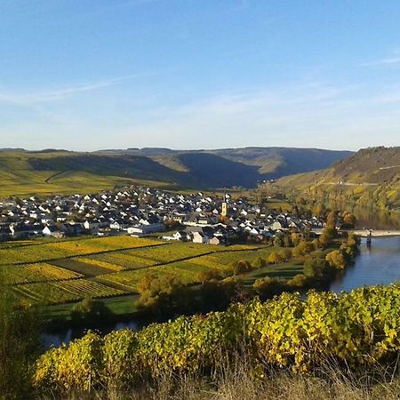 Wein & Gaestehaus Hermeshof Trittenheim Bagian luar foto