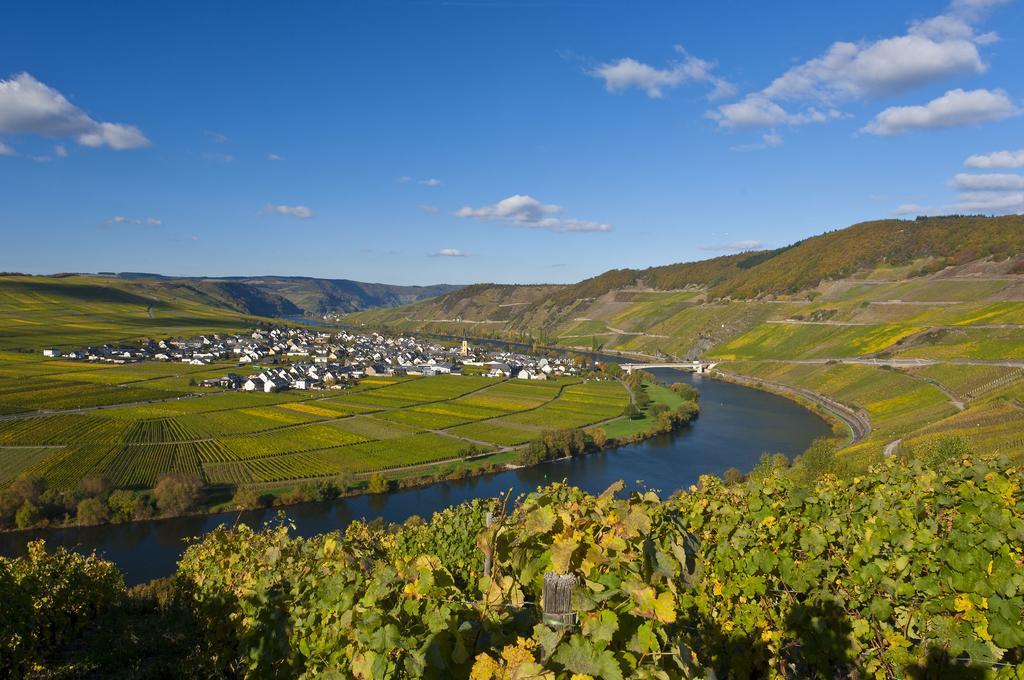 Wein & Gaestehaus Hermeshof Trittenheim Bagian luar foto
