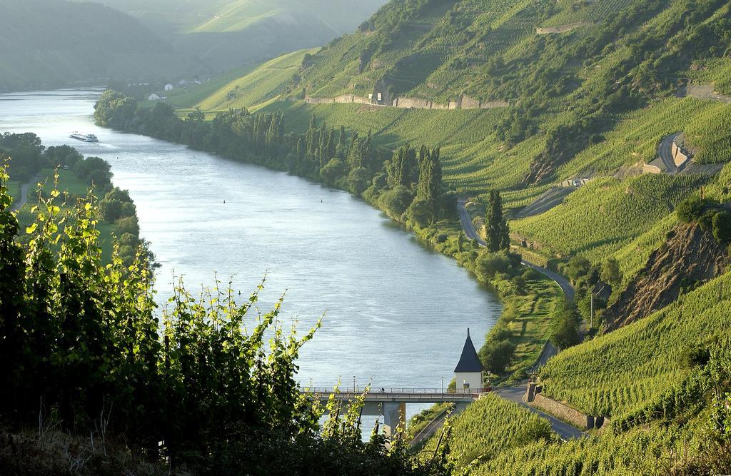 Wein & Gaestehaus Hermeshof Trittenheim Bagian luar foto
