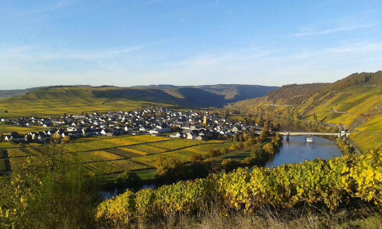Wein & Gaestehaus Hermeshof Trittenheim Bagian luar foto