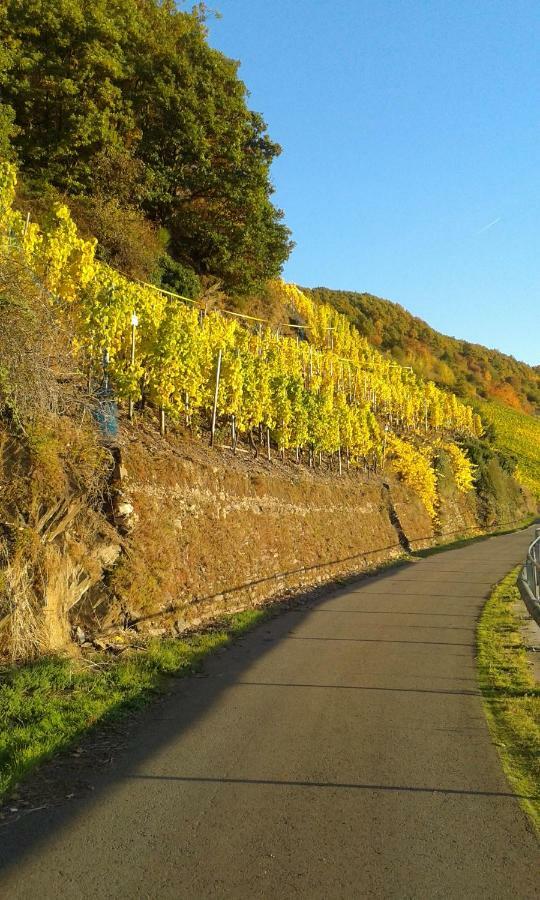Wein & Gaestehaus Hermeshof Trittenheim Bagian luar foto