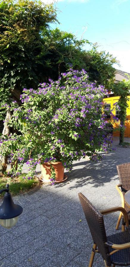 Wein & Gaestehaus Hermeshof Trittenheim Bagian luar foto